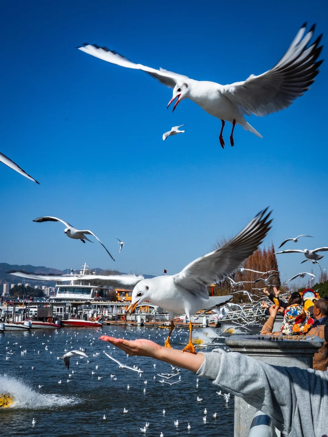 云南旅游,云南旅行社,云南團建公司,云南策劃公司,昆明旅游,昆明旅行社,昆明團建公司,昆明策劃公司,昆明會議會展：昆明兩日游攻略！