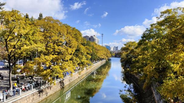 云南旅游,云南旅行社,云南團建公司,云南策劃公司,云南會議會展,昆明旅游,昆明旅行社,昆明團建公司,昆明策劃公司,昆明會議會展：全屏“封神”！這可是昆明初冬的超絕頂流！保姆級攻略來襲，趁天晴立馬沖！