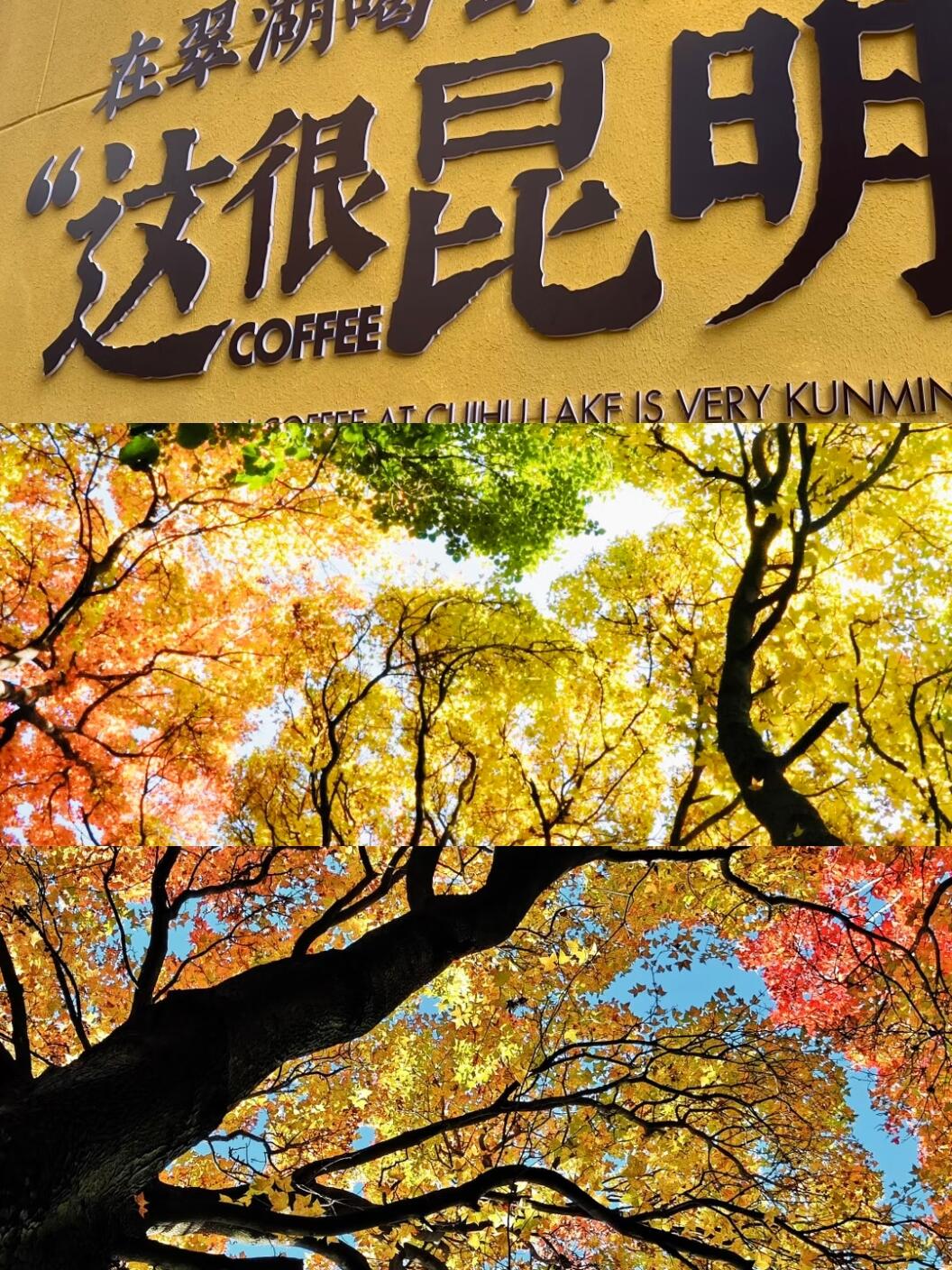 冬天旅游推薦！別再卷三亞了！昆明的冬天才是真寶藏 18℃的暖陽曬得人懶洋洋，滇池邊喂海鷗